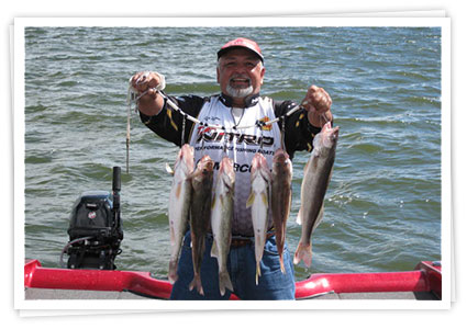 Walleye Fishing Trips